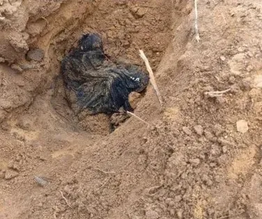 Corpo de homem é encontrado enterrado em cova rasa - Imagem