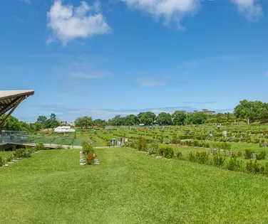 Cremação: entenda porque ela é uma opção moderna, respeitosa e acolhedora para as famílias - Imagem