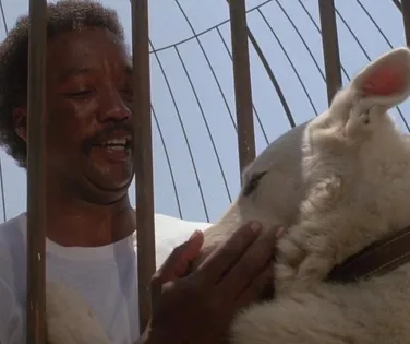 Hollywood errou feio: esses filmes racistas nunca deviam ter sido feitos - Imagem