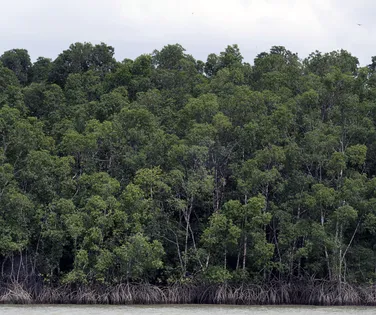 Ipea calcula quanto países ricos devem ao planeta por excesso de poluição - Imagem