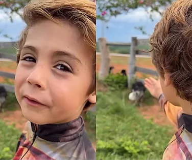 Menino de 6 anos resgata cães abandonados: “Nunca vou machucar vocês” - Imagem