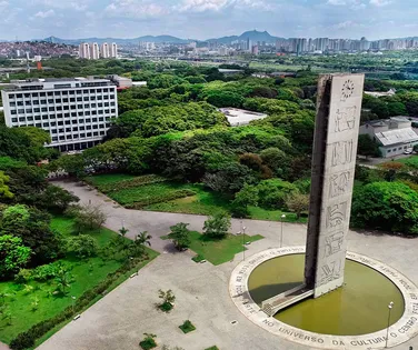 Racismo ou afinidades - Imagem