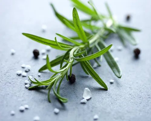 Frasco de alecrim e sal grosso: para que serve colocá-lo dentro de casa - Imagem