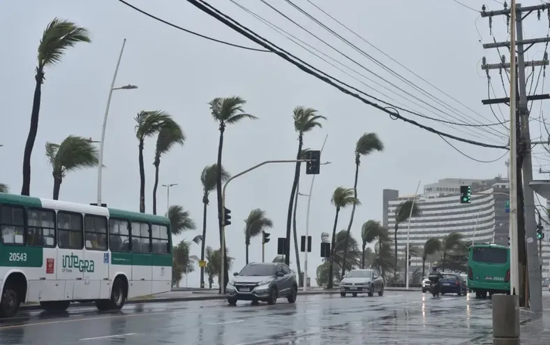 Feriado do Dia da Consciência Negra será de chuva na Bahia - Imagem