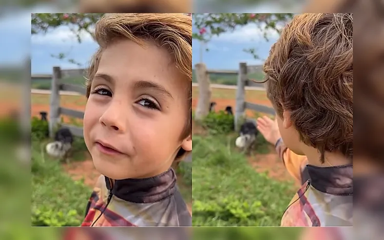 Menino de 6 anos resgata cães abandonados: “Nunca vou machucar vocês” - Imagem