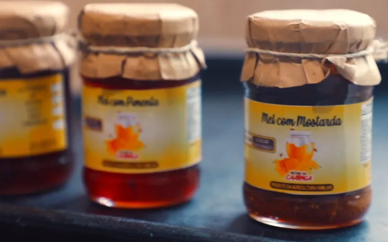 Produtores baianos disputarão Concurso de Qualidade do Mel durante a Fenagro 2025 - Imagem