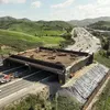 Ponte de R$ 100 milhões é construída só para onças, veados e cobras - Imagem