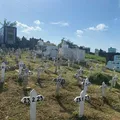 Ataque a tiros em velório deixa uma pessoa morta e outra ferida imagem