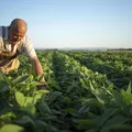 BNB premia agricultores familiares baianos e lança programa inédito de educação rural imagem