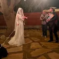 Cantora famosa se casa com cachorro no aniversário de 50 anos imagem