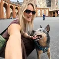 Cão sobrevive após acidente e não deixa tutora morta em rodovia imagem