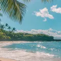 Cidade brasileira proíbe prática de nudismo em praia famosa imagem