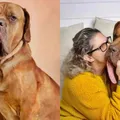 Com maior língua do mundo, cachorro entra para livro dos recordes imagem