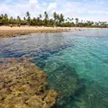 Destino turístico da Bahia vira referência nacional em segurança imagem