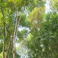 Fazenda é punida por venda irregular de lote no Vale do Jiquiriçá imagem