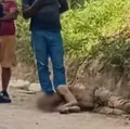 Guarda Municipal salva homem de ser morto a pedradas pelo irmão imagem