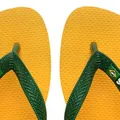 'Guerra das Havaianas': Direita e Esquerda na Bahia travam embate imagem