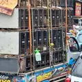 Jacarta proíbe carne de cachorro por risco de raiva e ilegalidade imagem