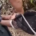 Jovem é raptada, agredida e deixada em matagal atrás de aeroporto imagem