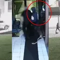 Ladrões armados roubam grande universidade noite do réveillon imagem