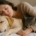 Médicos alertam para risco de infecções ao dormir com cães e gatos imagem