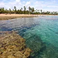 Paraísos baianos entram na lista de melhores praias para viajar com crianças imagem