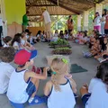 Pedágio mais caro? CLN quer compensar gratuidade de parque com reajuste imagem