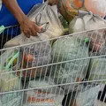 Preço da cesta básica cai em Salvador pelo quarto mês consecutivo imagem