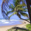 Prefeitura de Ilhéus proíbe exigência de consumação mínima nas praias imagem