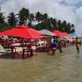 Prefeitura proíbe consumação mínima após briga em Porto de Galinhas imagem