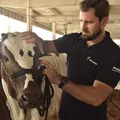 Profissão em alta: como trabalham os veterinários de animais do campo imagem