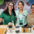Qual é o melhor mel da Bahia? Concurso revela campeões de 2025 imagem