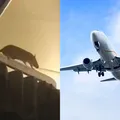 Ratazana causa pânico ao voar com passageiros em aeronave imagem