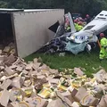 Seis fiéis morrem na BR após assaltantes soltarem freio de caminhão imagem