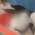 Servidor público é morto a tiros dentro de bar; mulher ficou ferida imagem