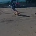Vídeo: idoso morre após ser ‘atropelado’ por cachorro em via pública imagem