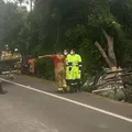 Acidente na Bahia mata quatro pessoas e deixa uma gravemente ferida imagem
