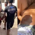 Adolescente de 13 anos morre após ataque de tubarão em Pernambuco imagem