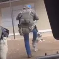 Agressão? Agente federal chuta cachorro durante abordagem policial imagem