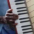 Artistas denunciam "apagamento" do forró na Bahia e cobram prioridade em editais imagem