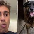 Cão Orelha: Nikolas usa caso para defender redução da maioridade penal imagem