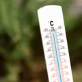 Cidade baiana registra quase 40ºC e entra em TOP 5 mais quentes do país imagem