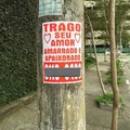 Colar cartaz pode dar prisão? Nova lei proíbe propagandas na cidade imagem