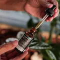 Cultivo de cannabis vai reduzir custo de medicamentos na Bahia imagem