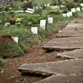 Doença letal tem primeira morte confirmada no Brasil em 2026 imagem