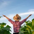 Em três anos, Brasil abriu 535 mercados. É a hora e a vez do marketing imagem