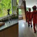Ex-atriz da Globo encontra cobra em casa e aciona bombeiros imagem