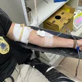 Hemoba mobiliza 150 servidores em campanha contra estoque crítico imagem