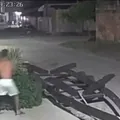 Homem agride cachorro com paralelepípedo na Bahia imagem