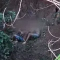 Homem é preso após agredir e empurrar amigo de ponte; entenda o caso imagem